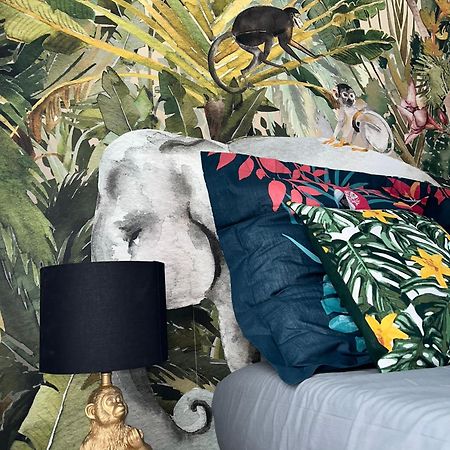 Studio Tropical , Vierzon , Proche Gare , Tout Confort Eksteriør billede