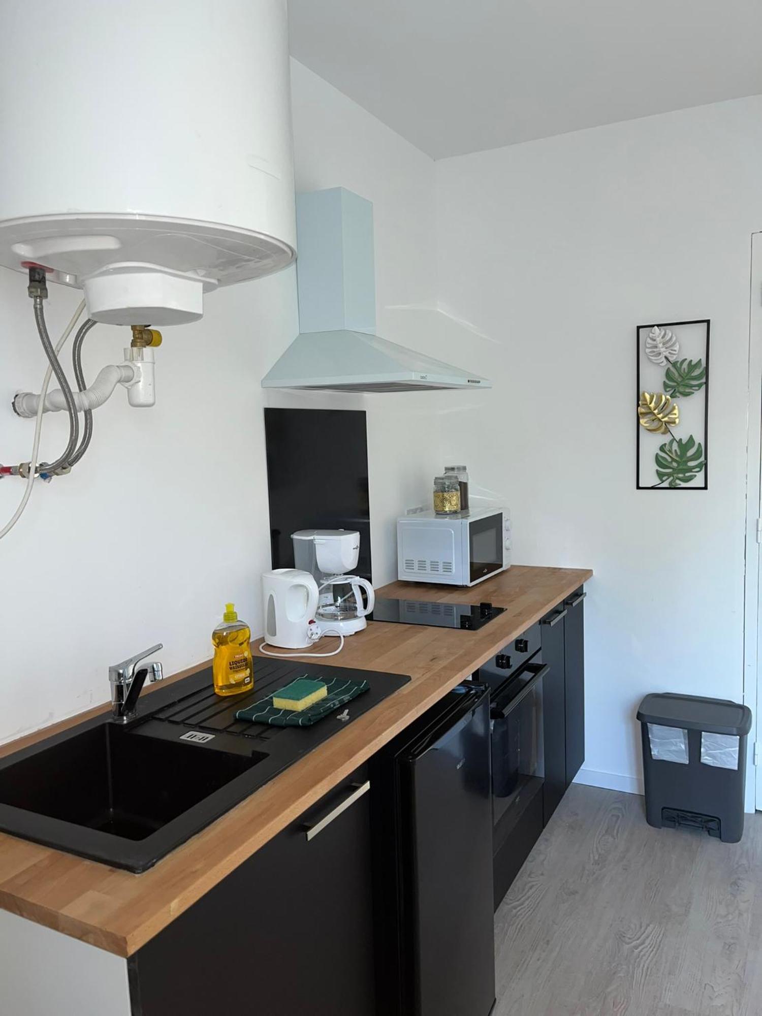 Studio Tropical , Vierzon , Proche Gare , Tout Confort Eksteriør billede