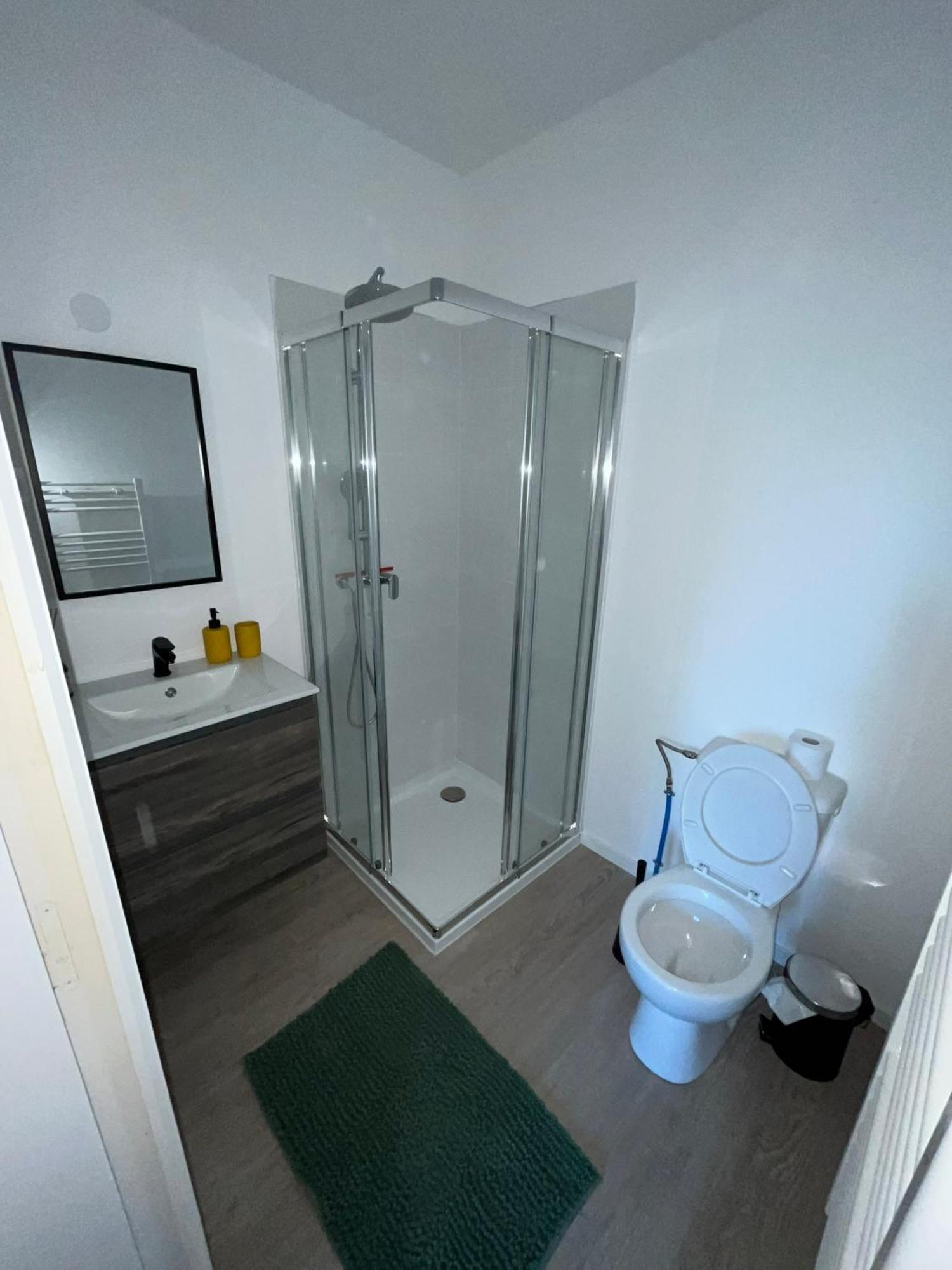 Studio Tropical , Vierzon , Proche Gare , Tout Confort Eksteriør billede