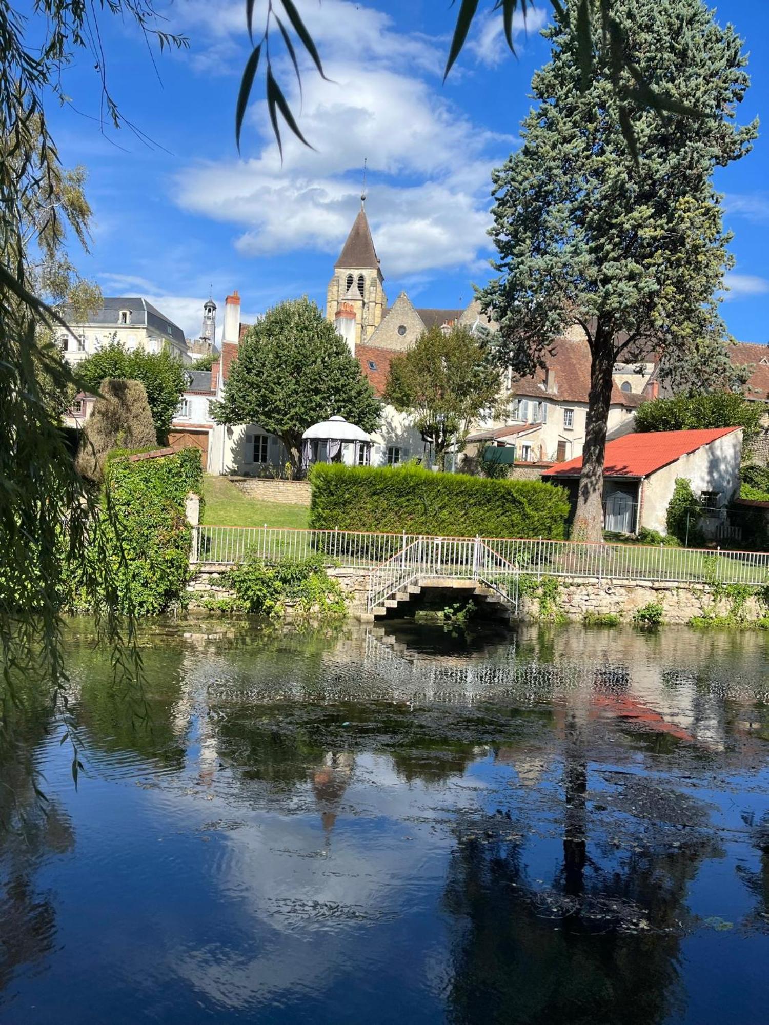 Studio Tropical , Vierzon , Proche Gare , Tout Confort Eksteriør billede